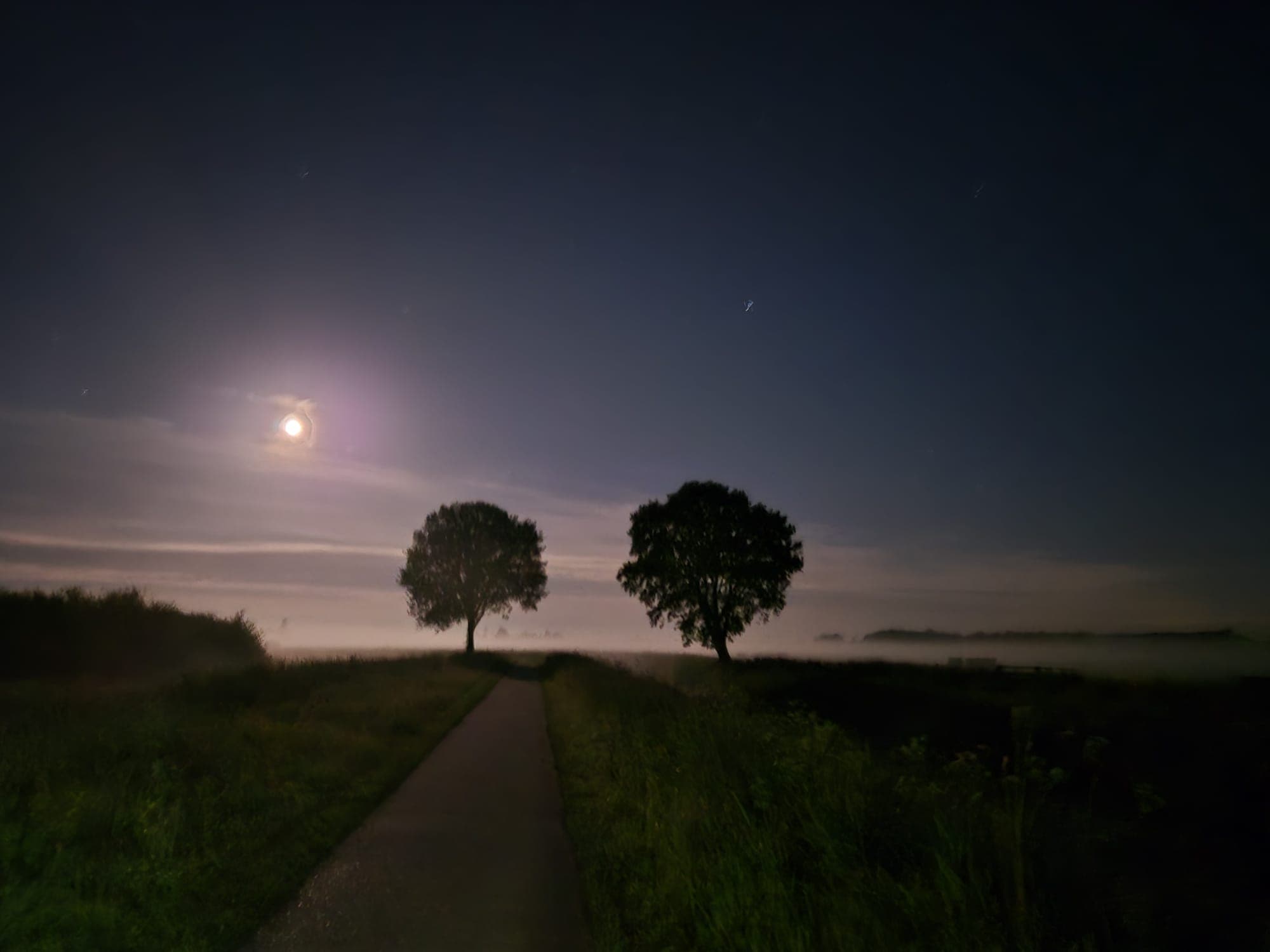 Maanverlicht pad met mist in de polder